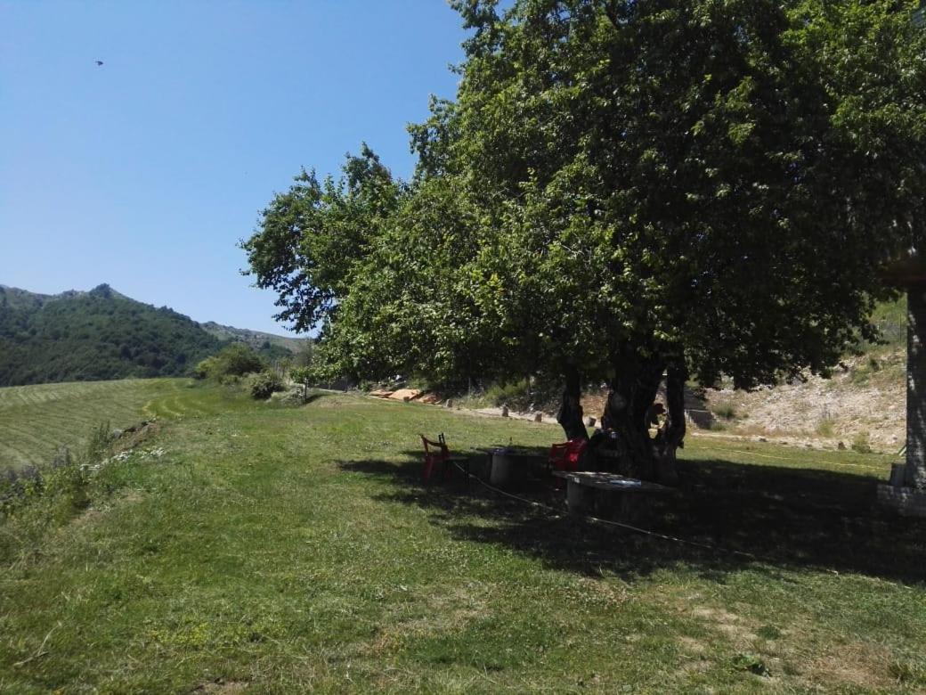 Bujtina E Tomorrit Hotel Ujanik Esterno foto