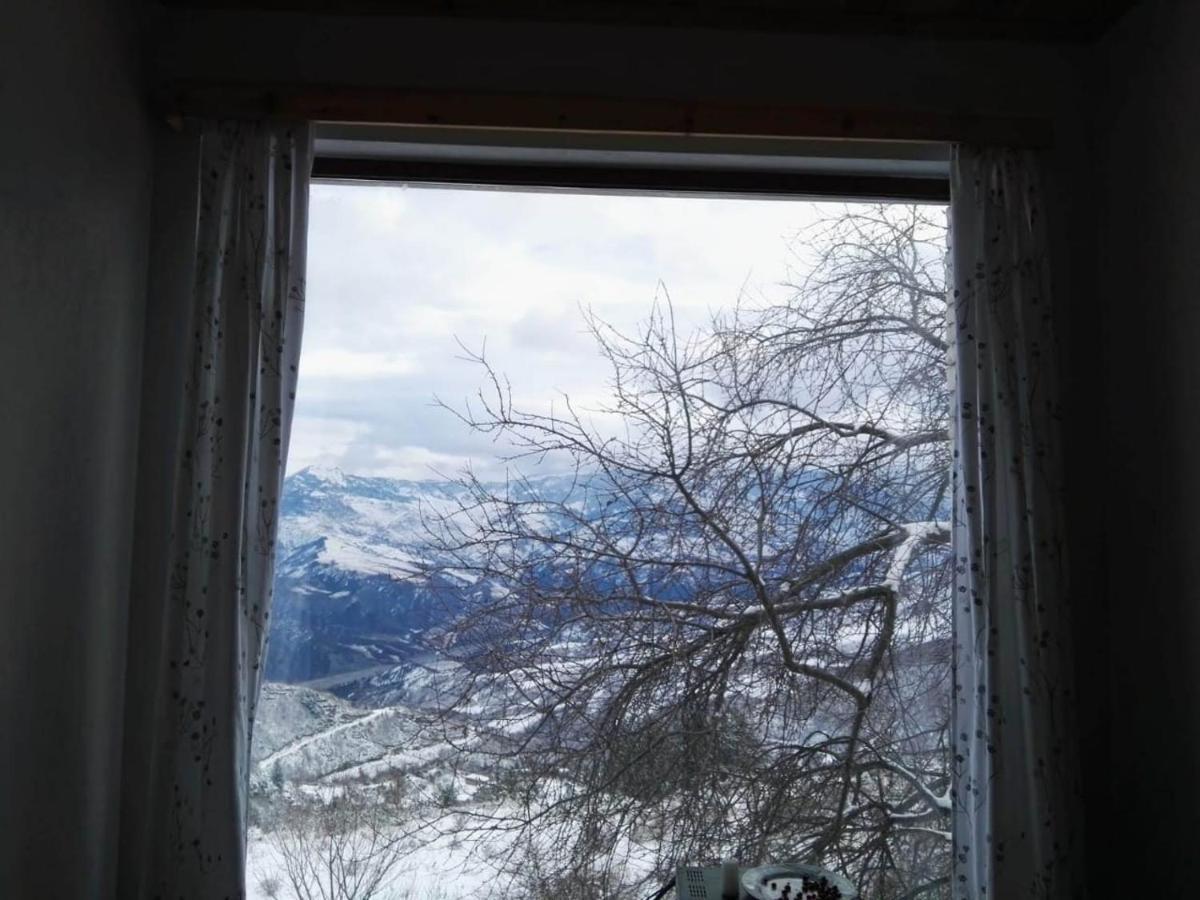 Bujtina E Tomorrit Hotel Ujanik Esterno foto