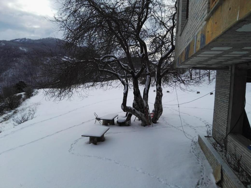 Bujtina E Tomorrit Hotel Ujanik Esterno foto