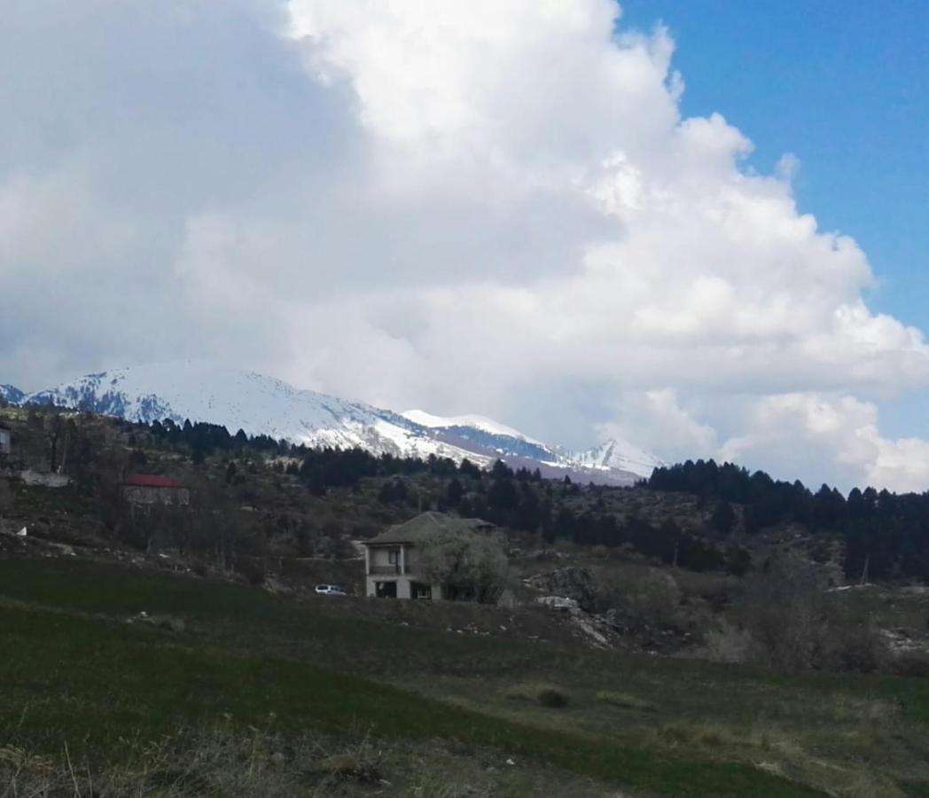 Bujtina E Tomorrit Hotel Ujanik Esterno foto